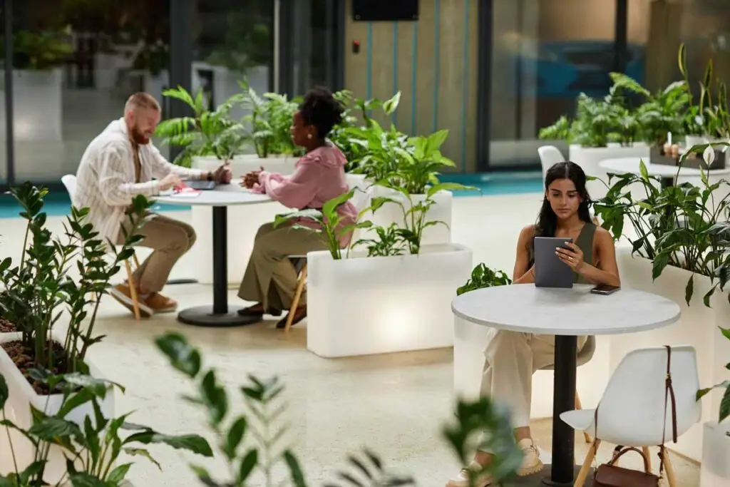 Eco-friendly biophilic design in the workplace